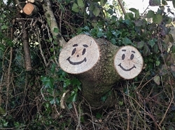 Happy Faces in Lower Washfield