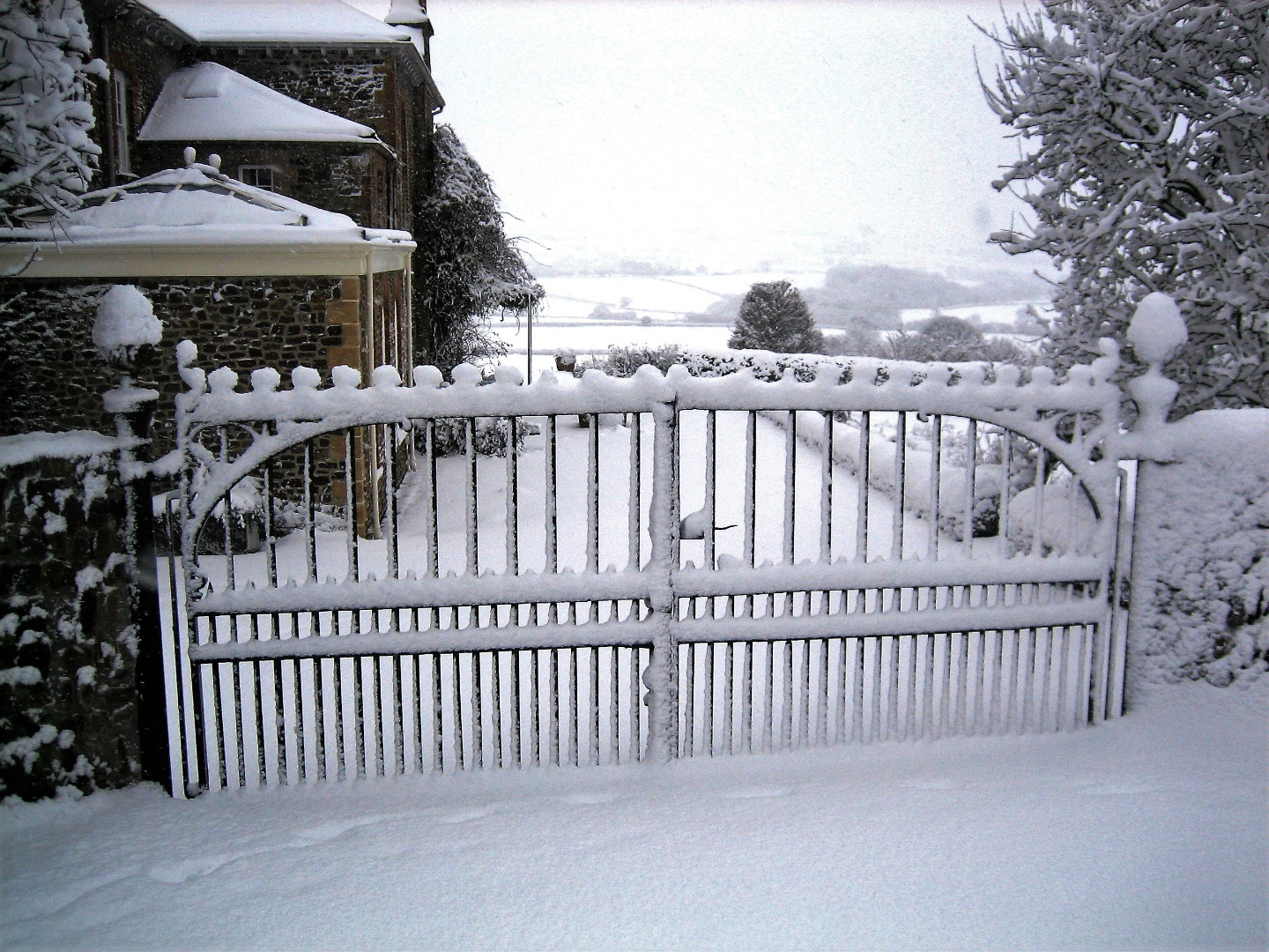 No gardening here for a while yet