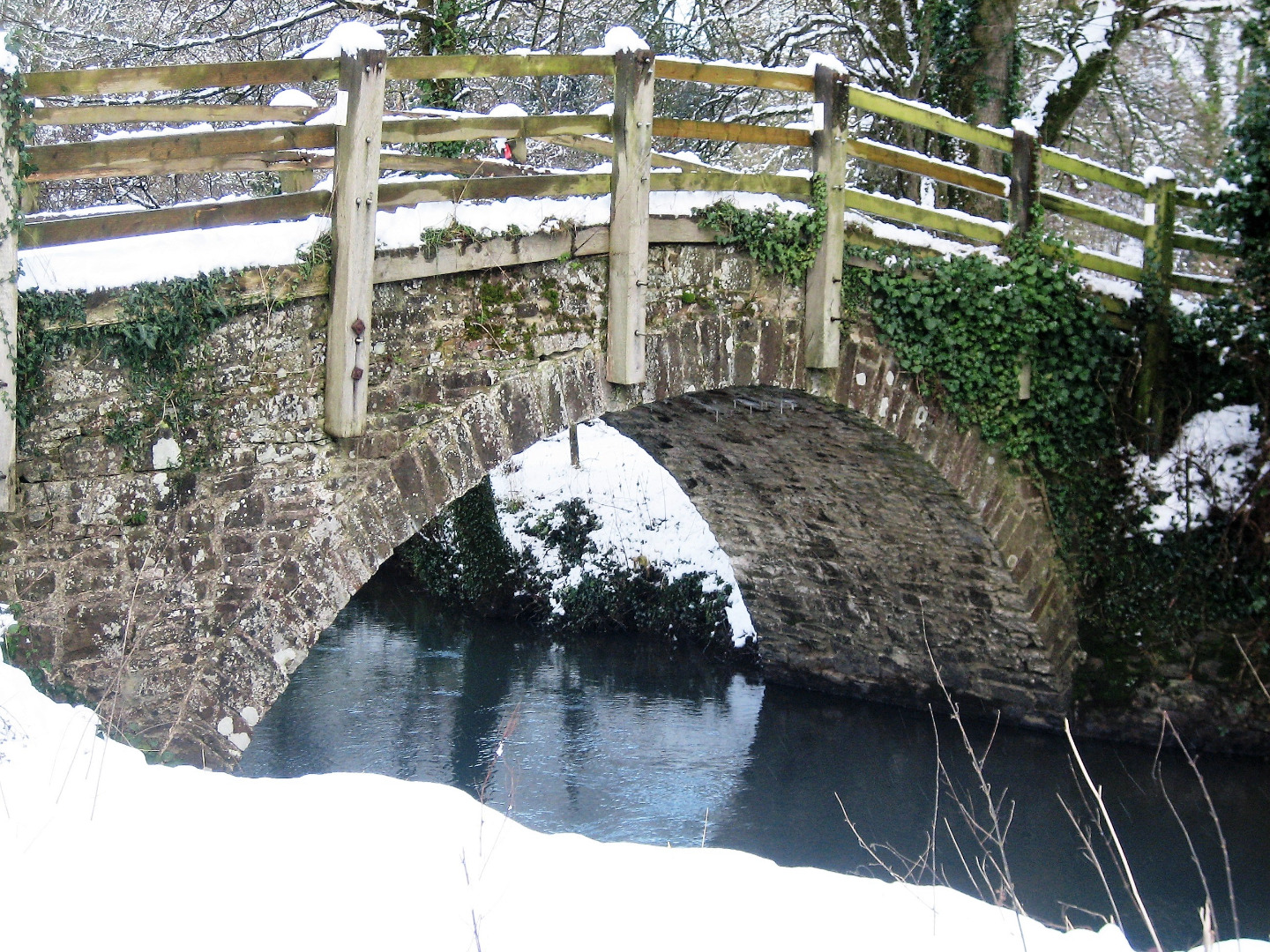 Kingfishers fly under here all year round