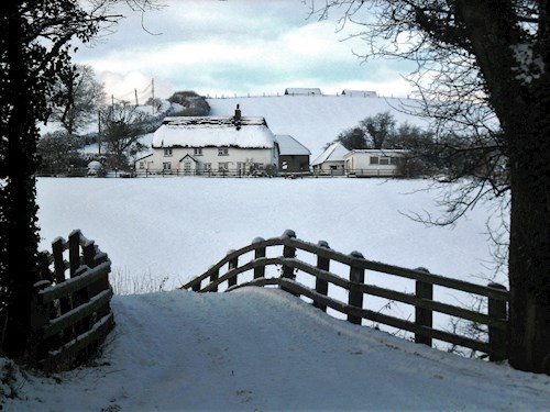 Sheltered and warm