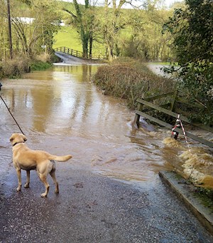 River Taw in spate