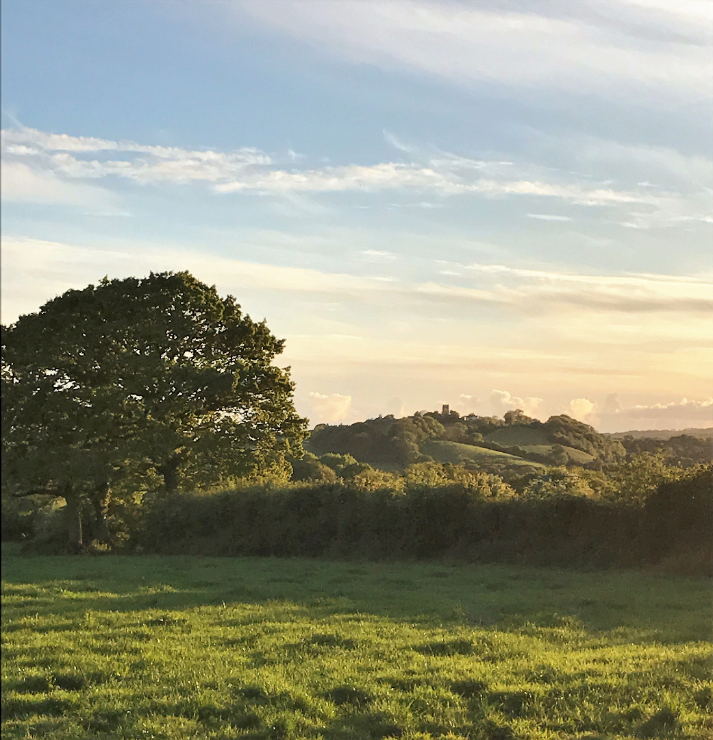 Coldridge in the distance