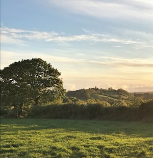 Coldridge in the distance