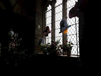 #21 Bats in the Belfry - Teresa Kendall