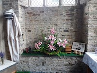 #23b Butterflies & Bees - Sue Lawerence & Marion Webber