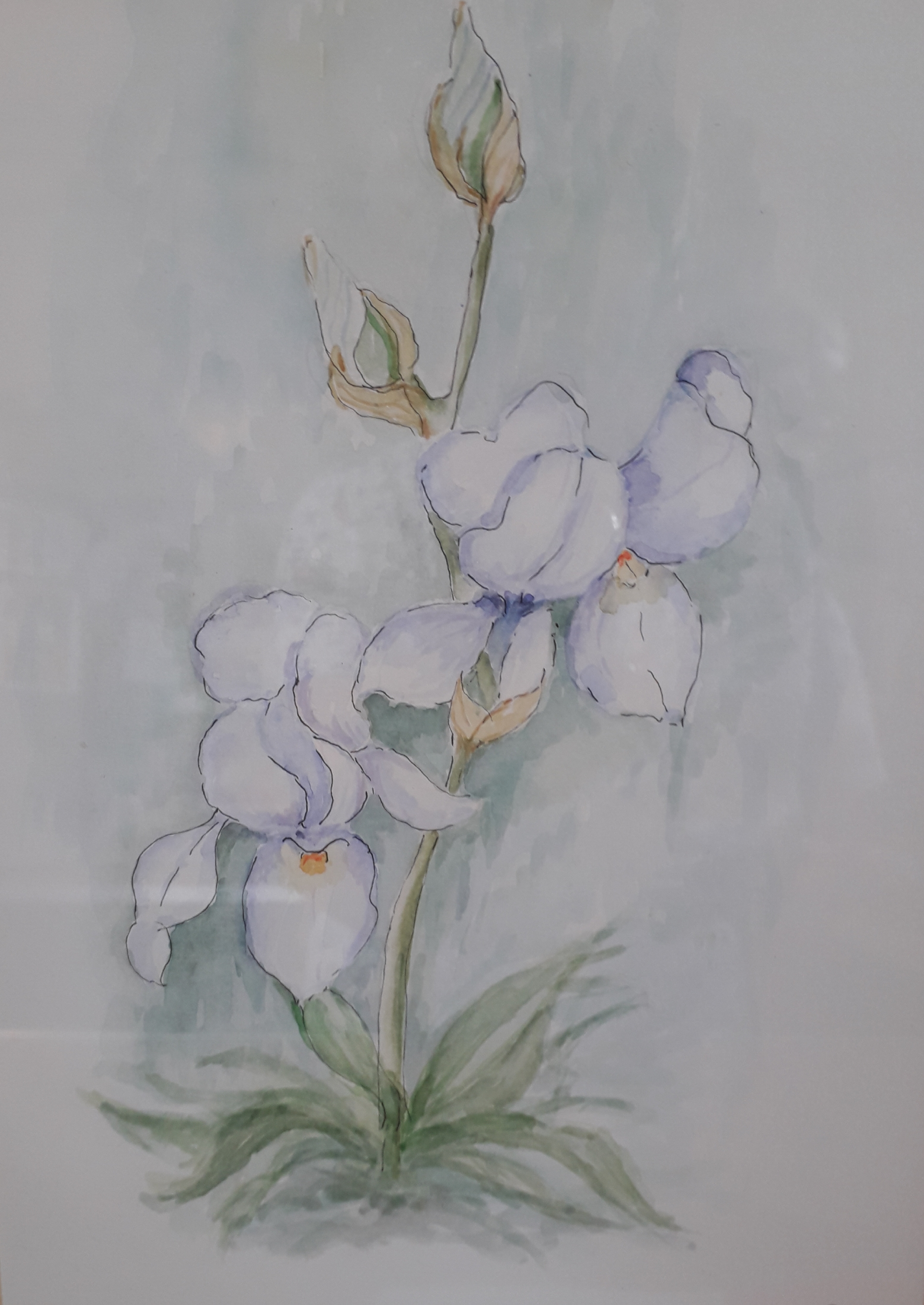 Painting Class - Summer Garden