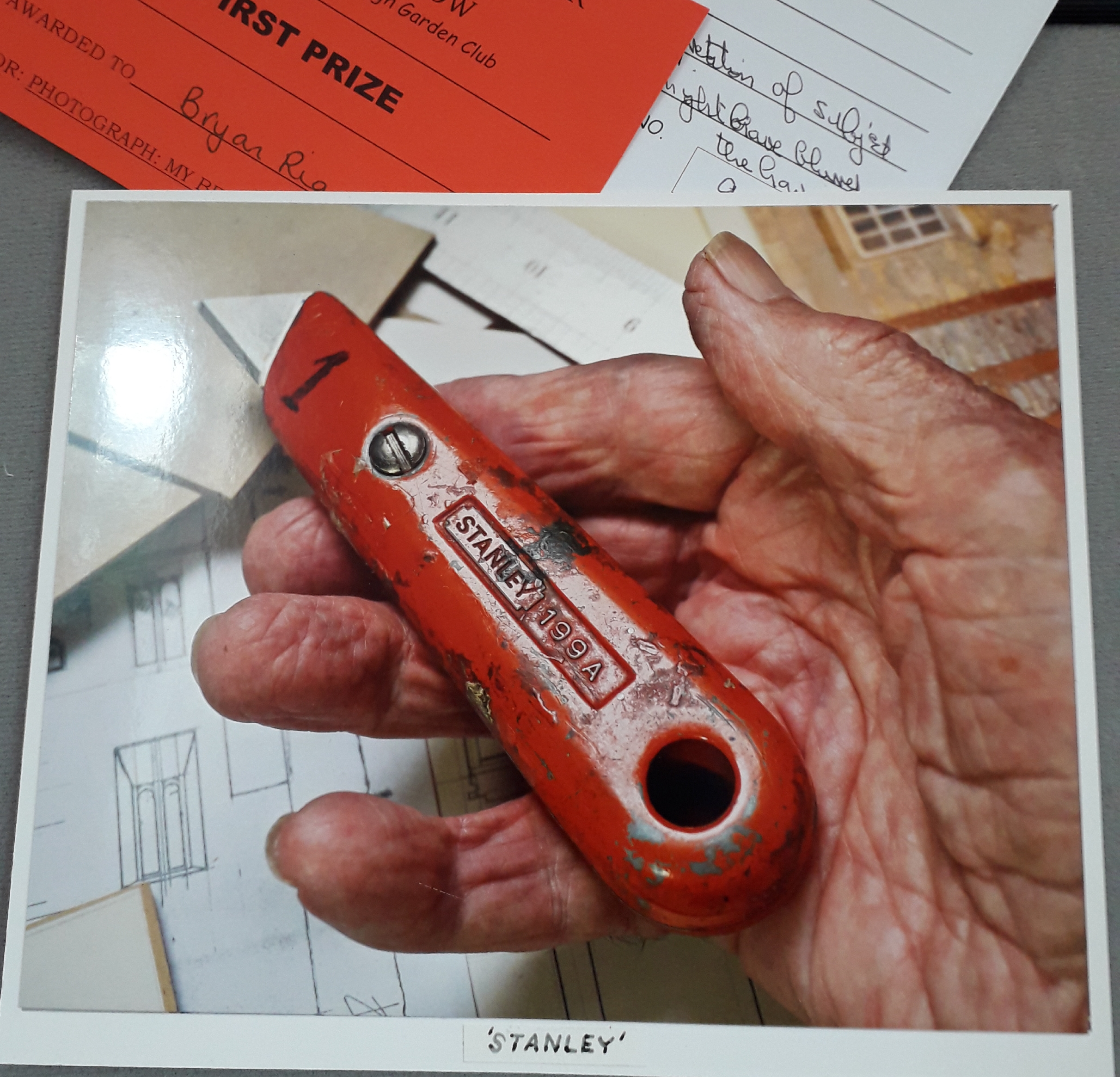 Photo Classes - My Best Friend - "Stanley" - 1st Prize