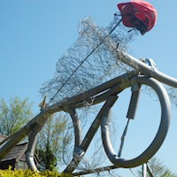 BMX Rider.  Glebe House.  Runner up 'Best Constructed'