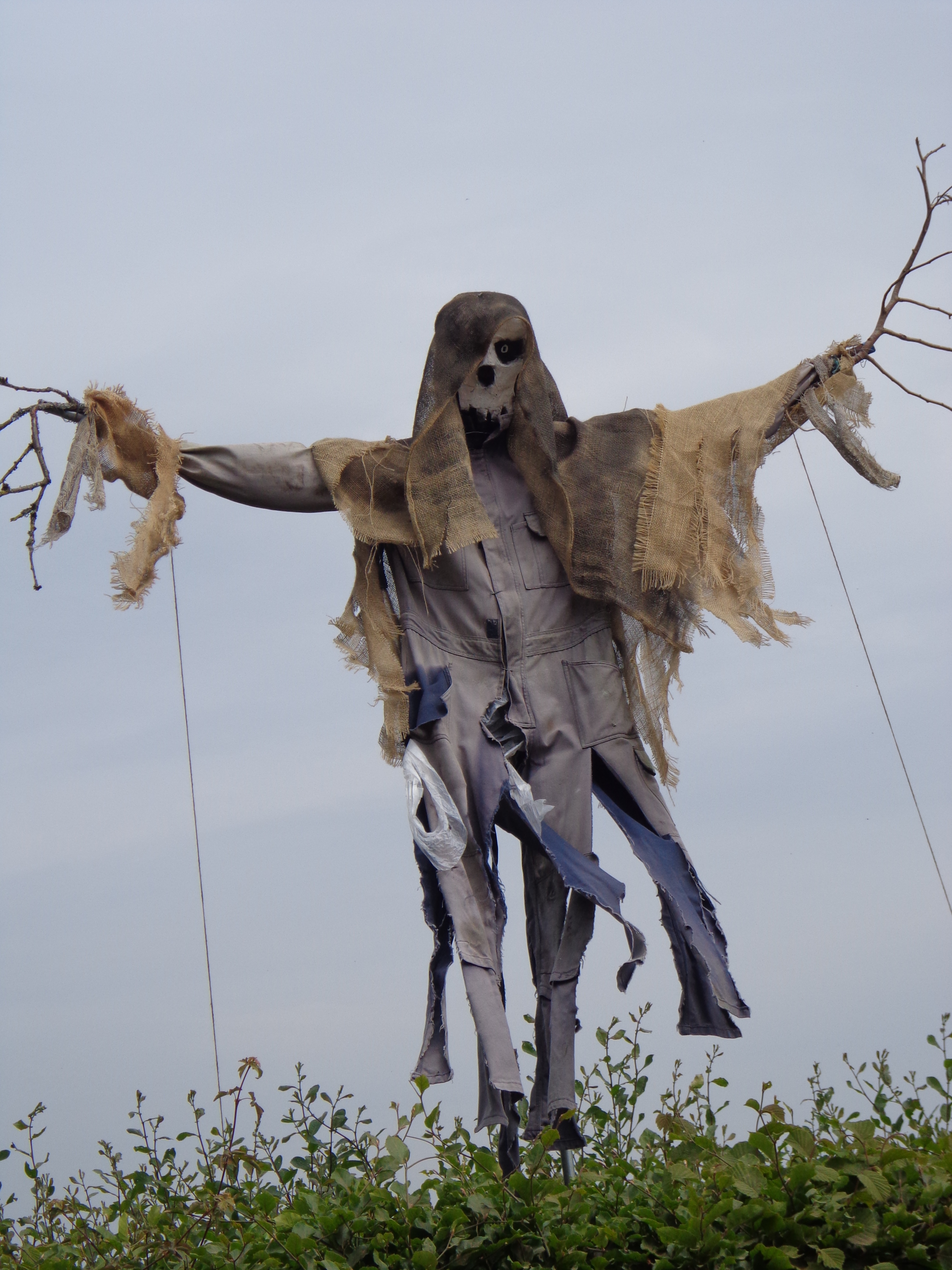 Skulduggery Pleasant.  Pylemoor Cross.  Winner 'Most likely to Scare'