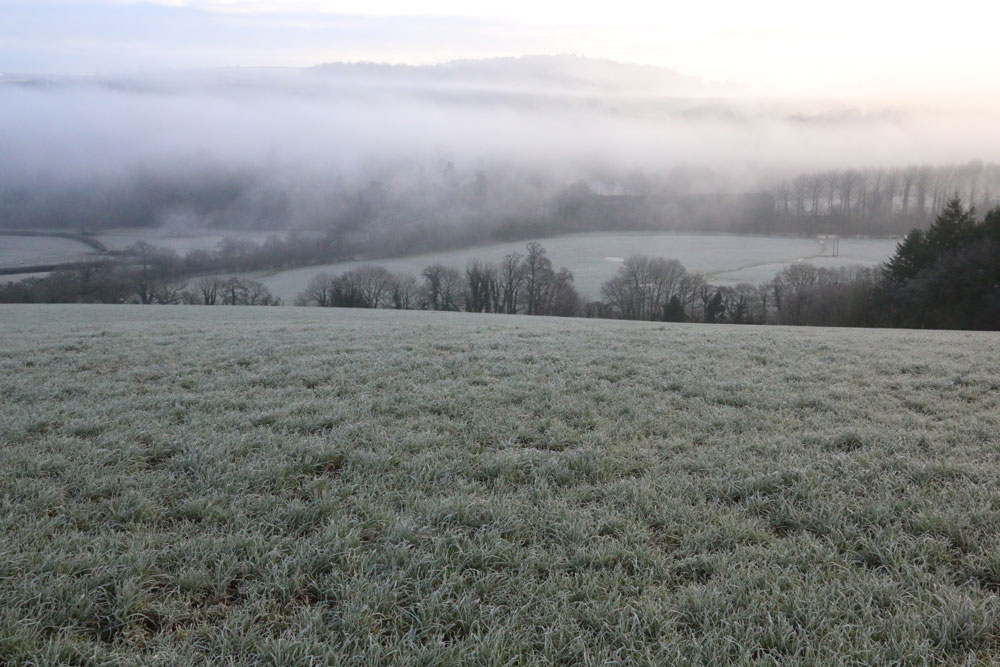 Misty Morning on the Exe
