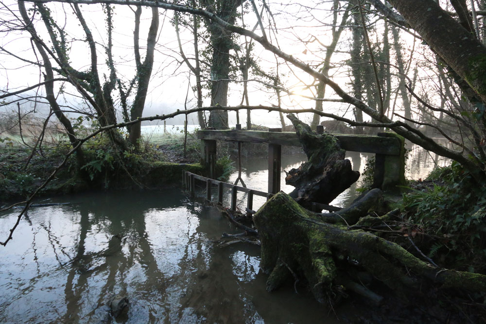 Sluice at Washfield Weir