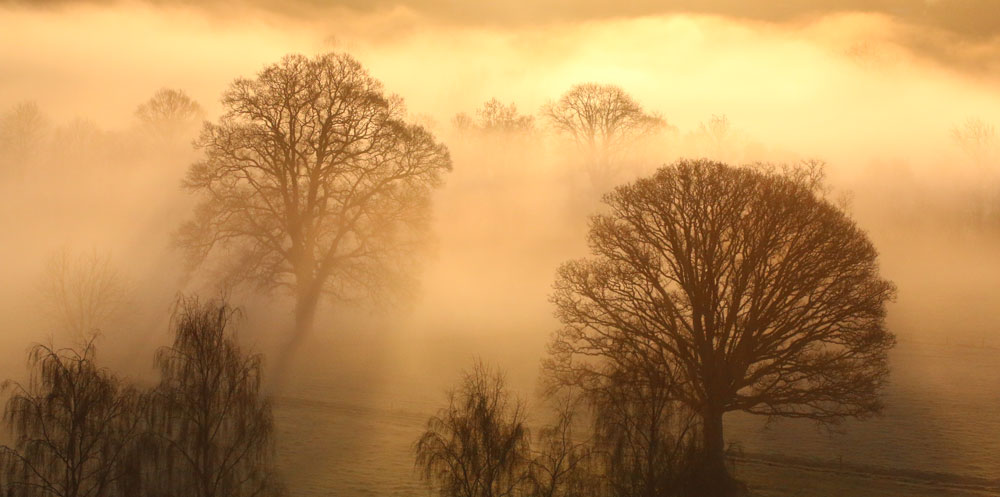 Marsh Farm - Golden Morning