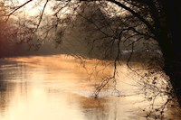 River Exe