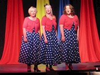 SWAG arranged entertainment at the Parish Hall with In Harmony 2014