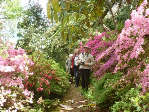 2014 Visit to Greencombe, Porlock