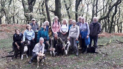 The Walkie Talkies group stop in the woods for a photo