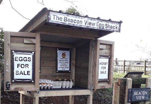 Eggs from hens at Beacon View available in the Egg Shack