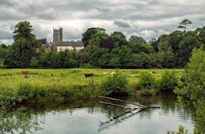 The River Exe at Brampford Speke