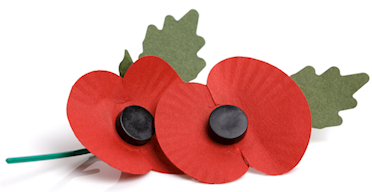 Remembrance Poppies for 2020