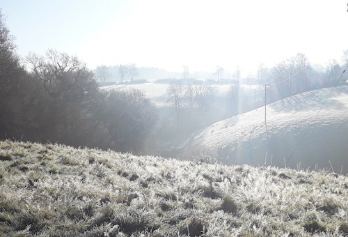 Stoodleigh Wheatland fields on a frosty morning