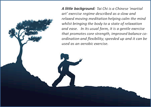 Tai Chi - A Backgrounder for Monday 28th March 2022
