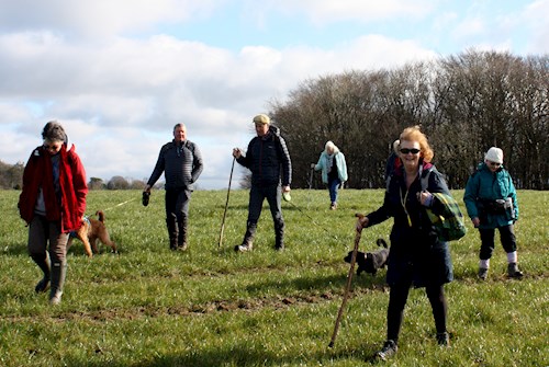 Walkers off and out across the fields