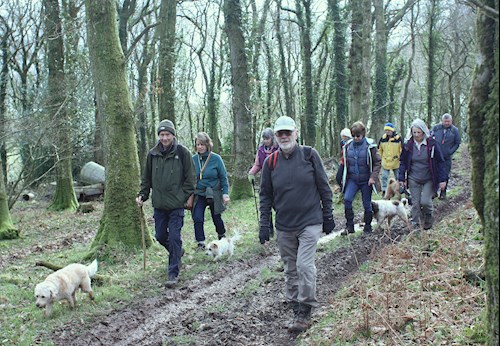 Walkers on the path through the top of Rifton Wood