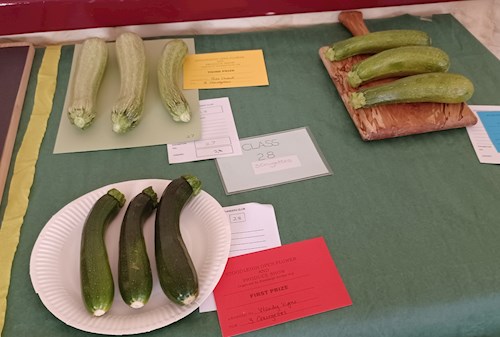 Three courgettes
