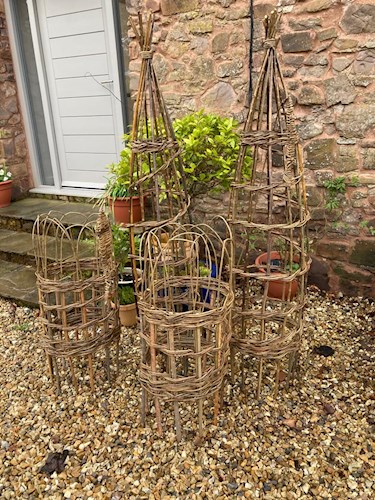 Willow weaving results from classes at Stoodleigh Parish Hall