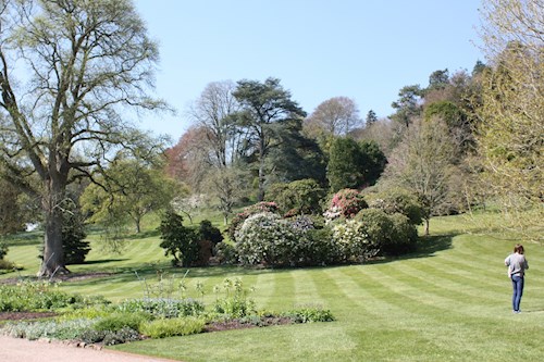 Killerton Gardens