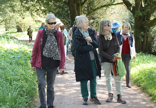 Members walking through the Gardens