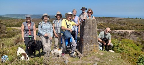 The group reach the Trig Point on Withycombe Common