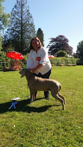The Reserve Best in Show - "Daisy" pictured with Lesley