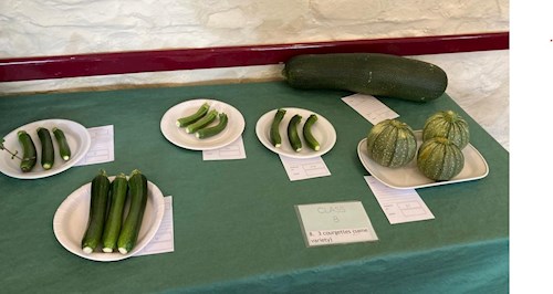 One of the veg classes in the Show