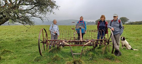 Walkie Talkies admire the vintage hay turner