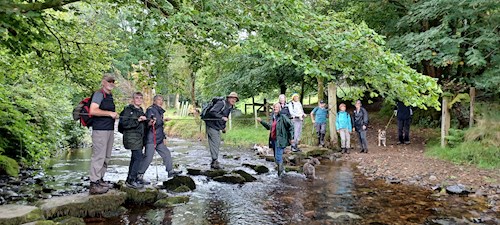 One of the stream crossings - hold tight