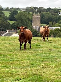 Local residents!