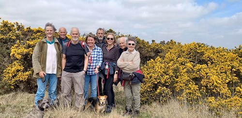 The walking group admire view before them and the colourful gorse in the background