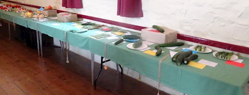 The vegetable classes