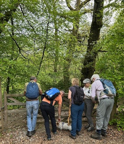 Coleford Bottom
