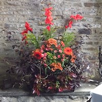 One of the many flower arrangements displayed in St Matthew's, 2016