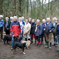 2008 - Snowdrop Valley