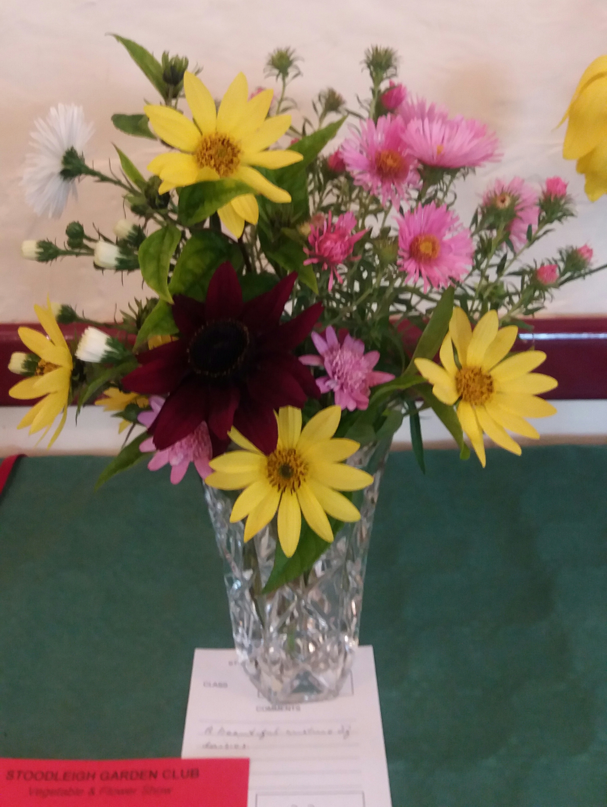 The winning vase of daisies
