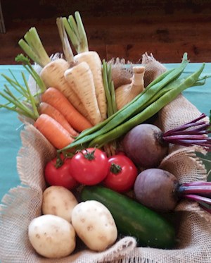 Winner of tray of vegetables