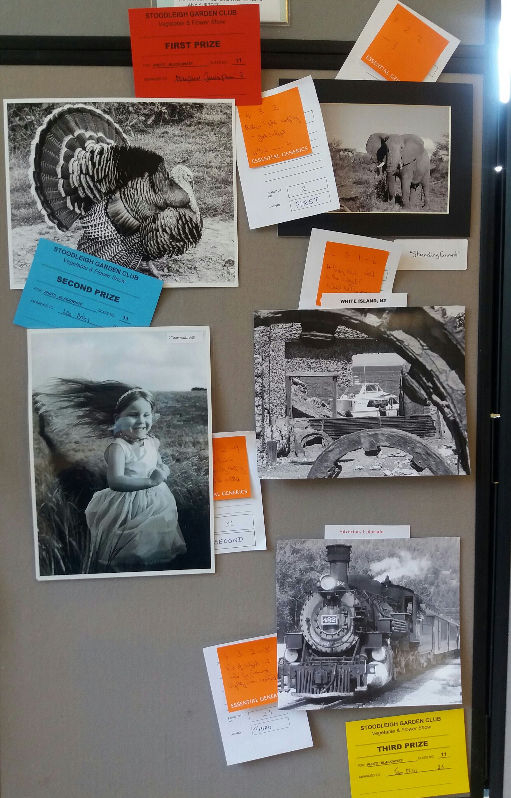 Some entries in the Black & White photograph section