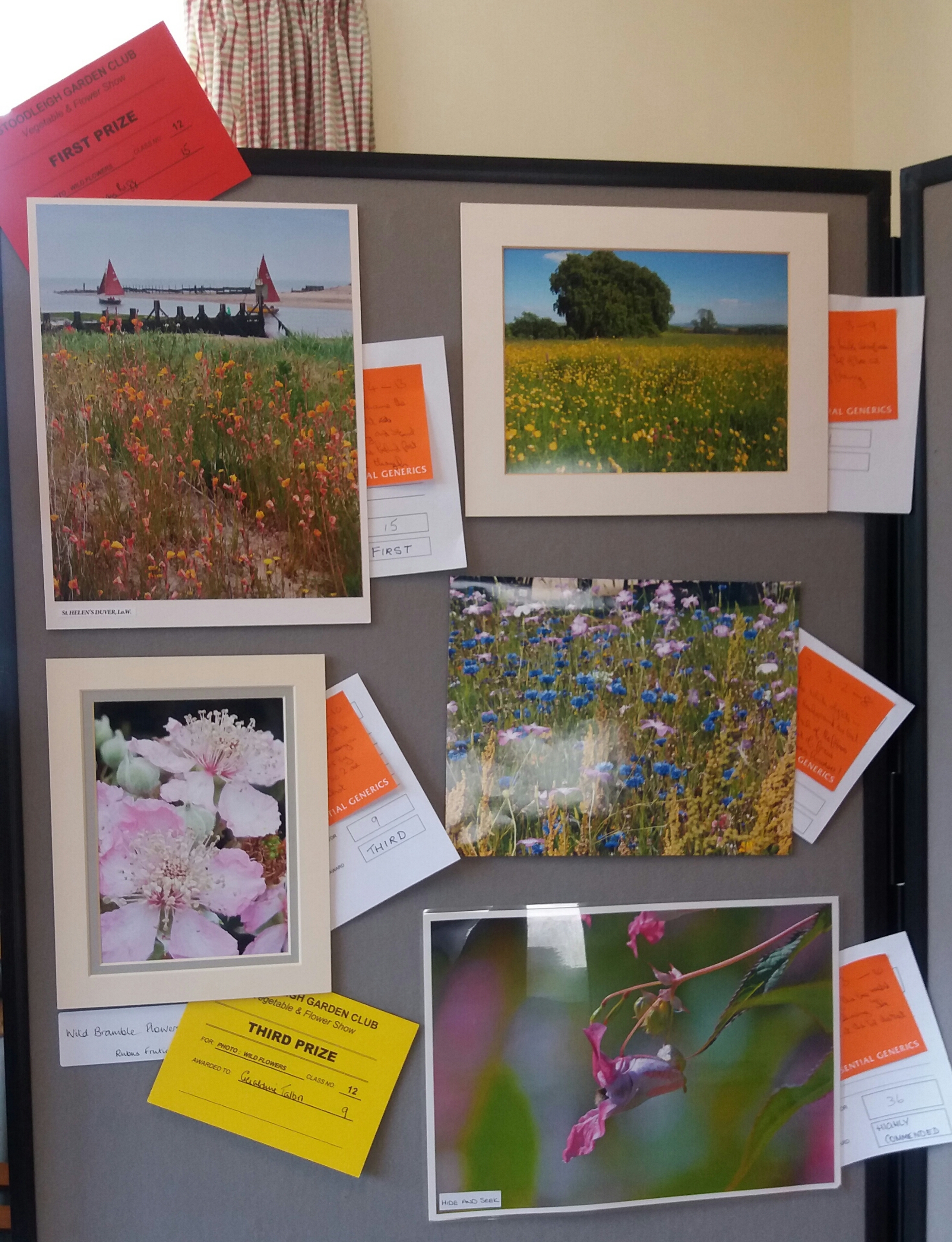 More wild flower photo entries