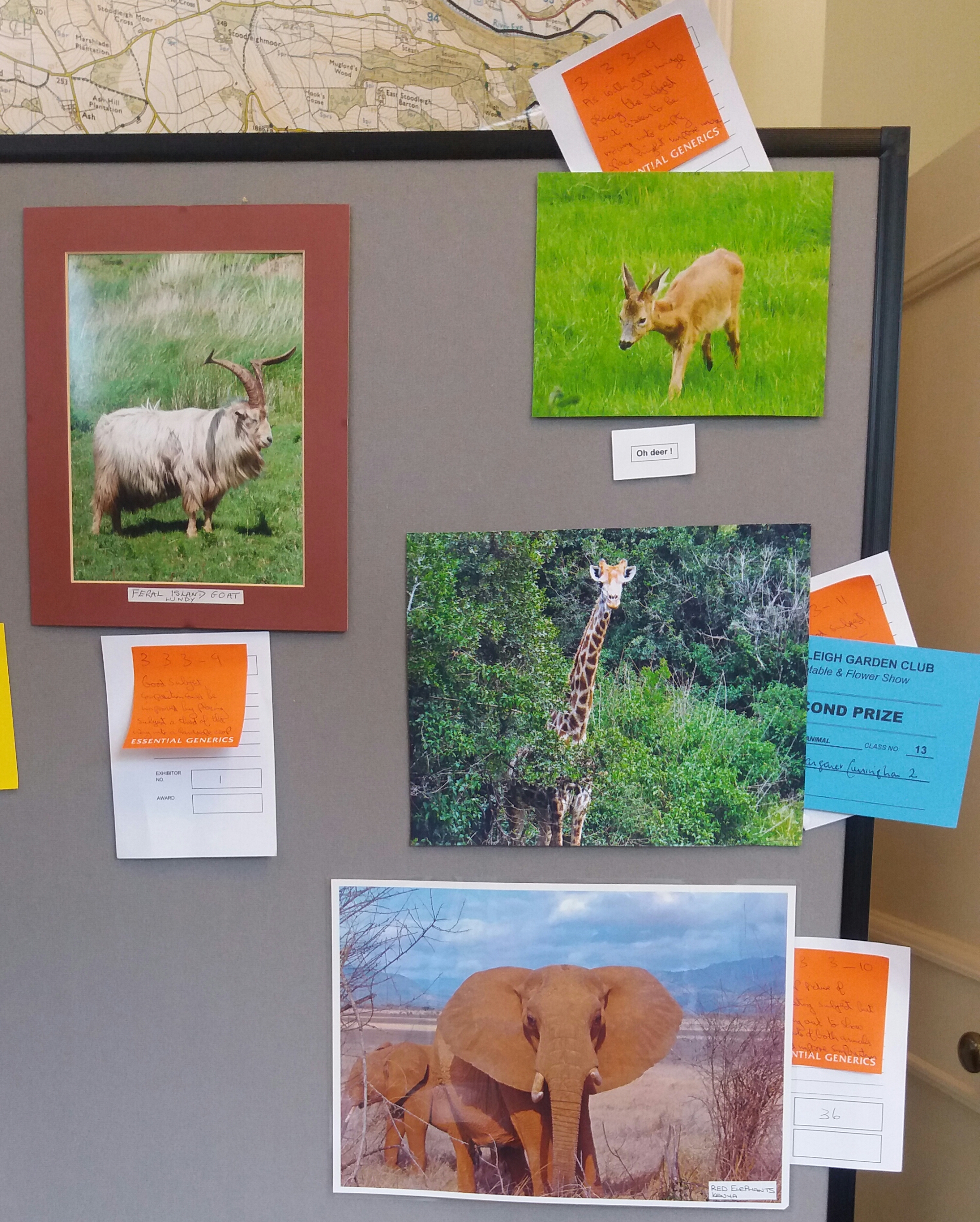 ........ and some more photos of four legged wild animals